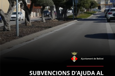 SubvencioComerçLocal.png